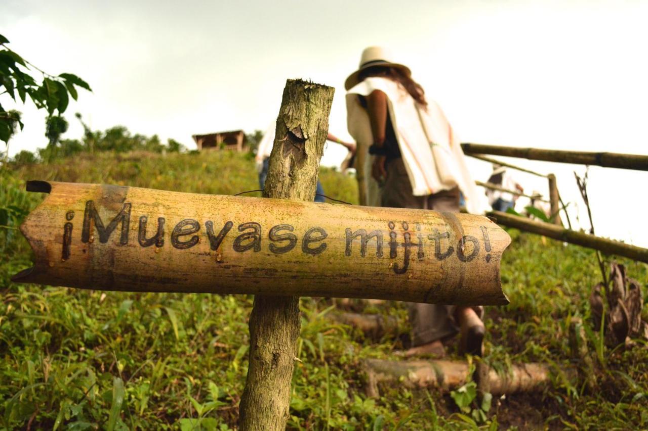 Finca Del Cafe - Casa Typica Santa Rosa de Cabal Eksteriør bilde