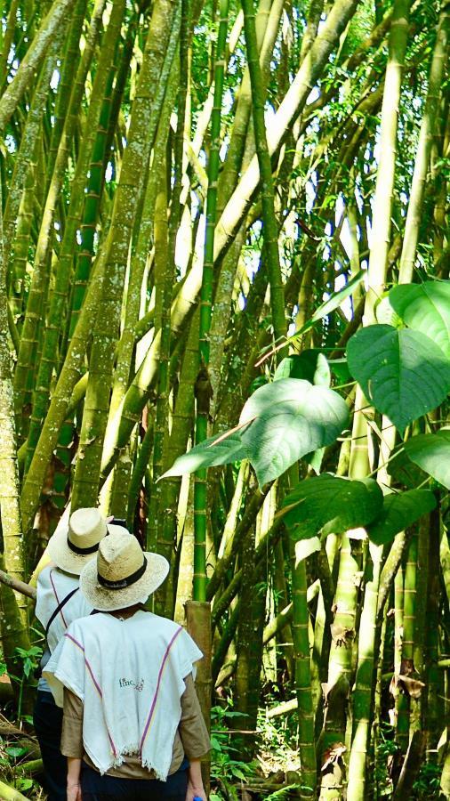 Finca Del Cafe - Casa Typica Santa Rosa de Cabal Eksteriør bilde