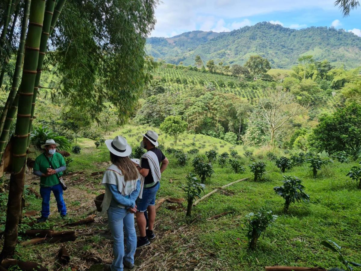 Finca Del Cafe - Casa Typica Santa Rosa de Cabal Eksteriør bilde